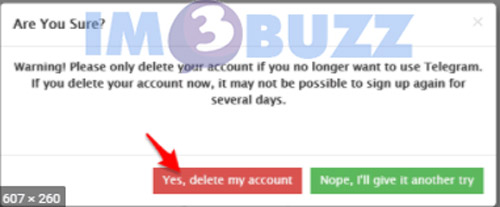 yes hapus akun telegram saya
