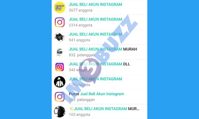 1. Grup jual akun instragram