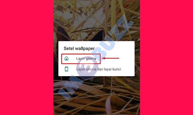 10. pilih opsi pengaturan wallpaper HP dari video tiktok