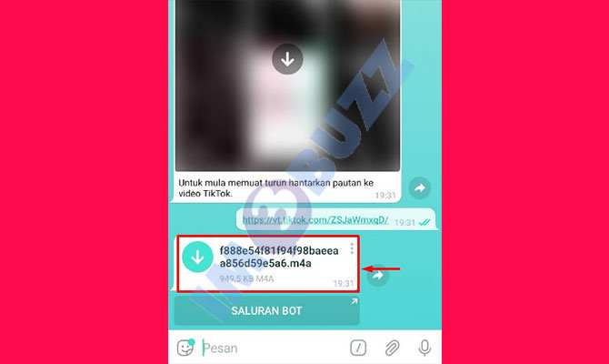 10. selesai mengubah video tiktok jadi mp3 dengan bot telegram