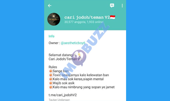 12. grup telegram cari jodoh teman v2