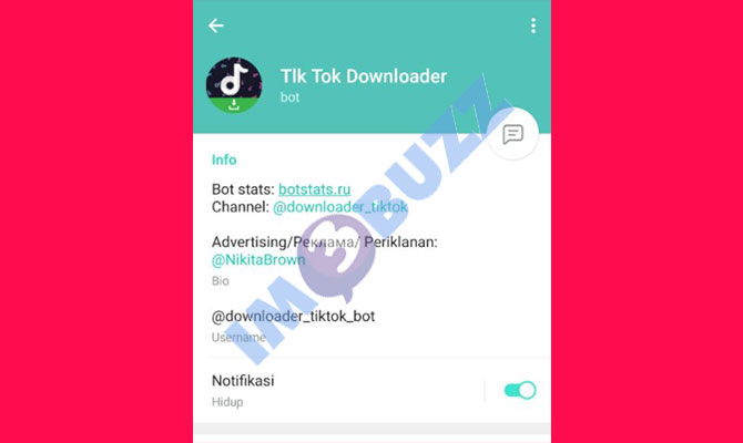 2. tik tok downloader