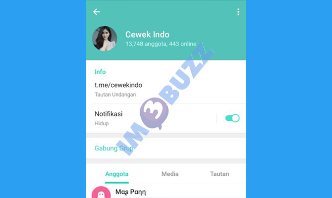 27. grup cewek indo