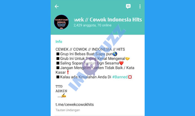 28. grup cewek cowok indonesia hits