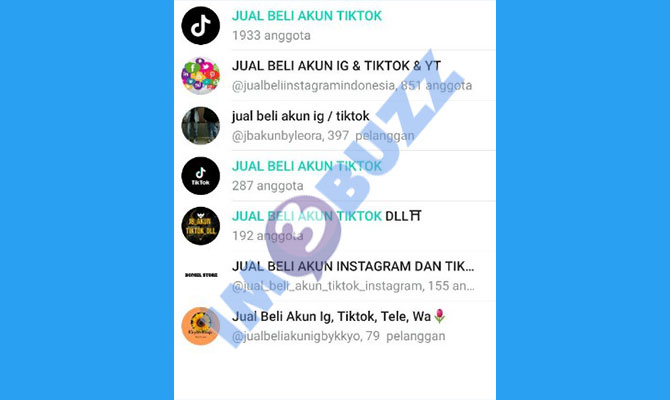 3. Grup jual akun tiktok