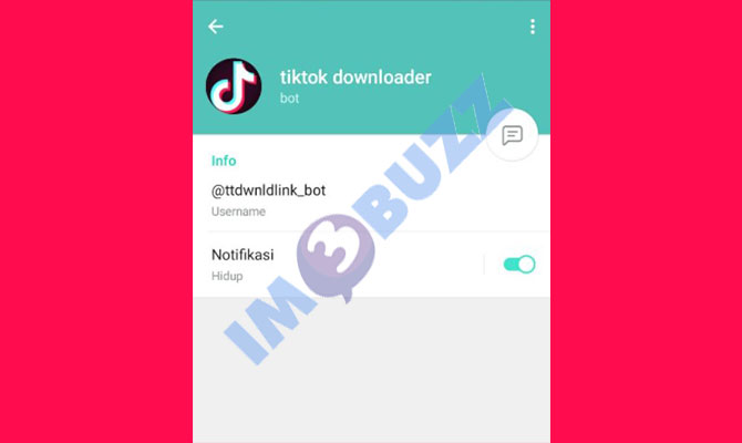 3. tiktok downloader