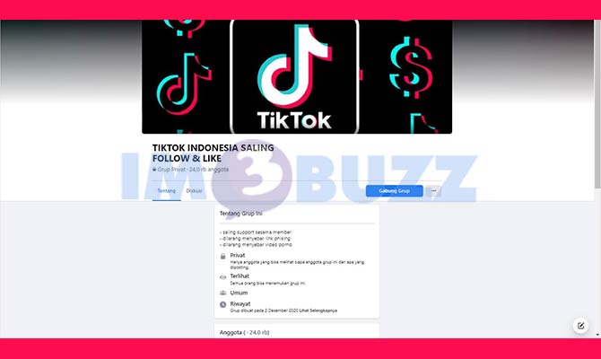 3. tiktok indonesia saling follow like