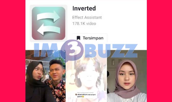 4. filter tiktok inverted