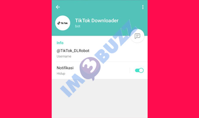 4. tiktok downloader