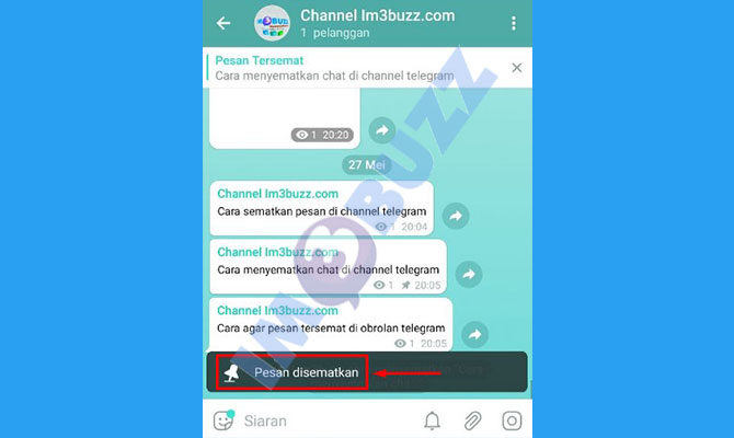 6. selesai menyematkan pesan di channel telegram