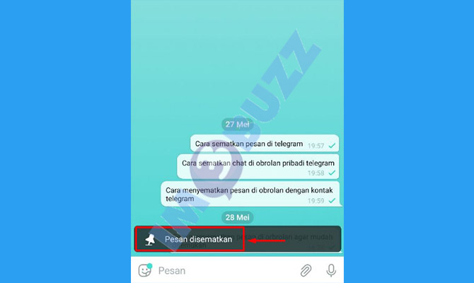 7. selesai menyematkan pesan di obrolan pribadi telegram