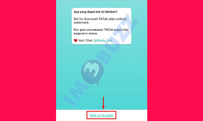 7. tap mulai obrolan dengan bot untuk download video tiktok jadi mp3