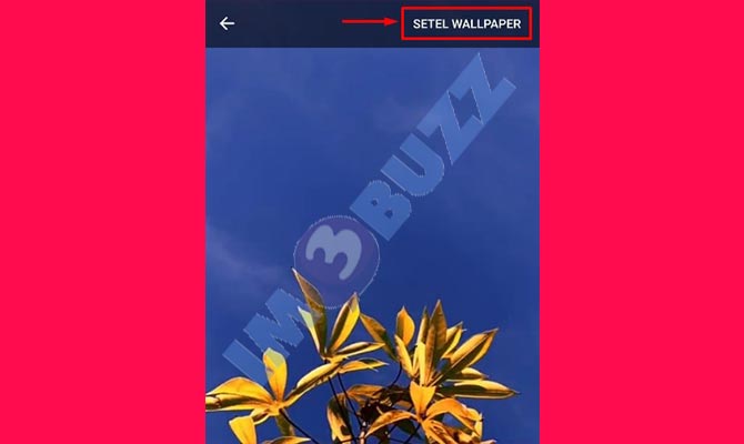 9. ketuk setel wallpaper HP dari video tiktok
