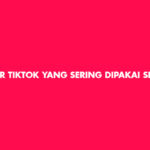 filter tiktok yang sering dipakai selebgram