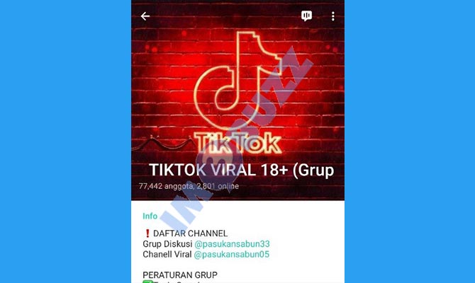 1. grup tiktok viral