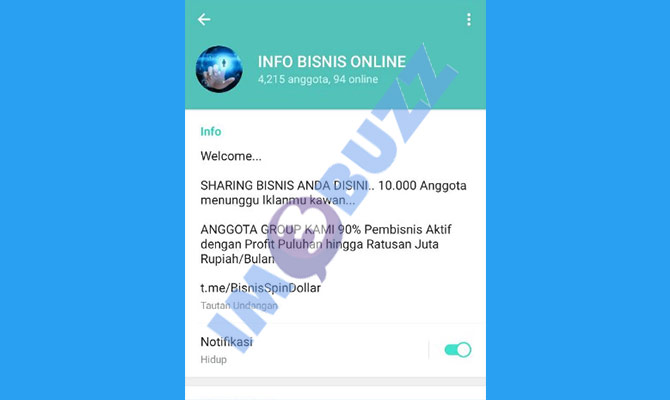 11. grup info bisnis online