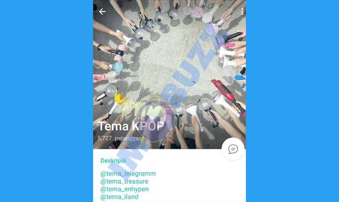 2. Tema Telegram KPOP