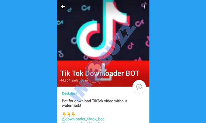 2. channel tiktok downloader bot