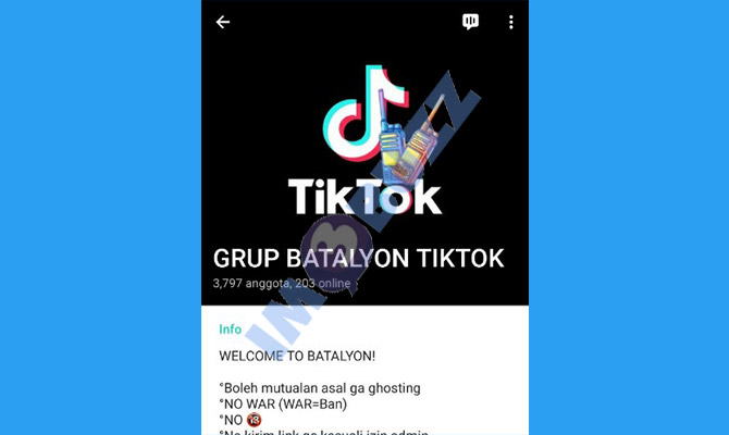 2. grup batalyon tiktok