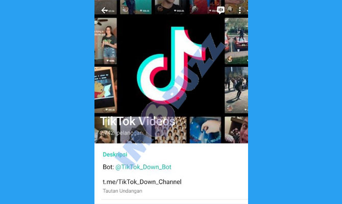 3. channel tiktok videos