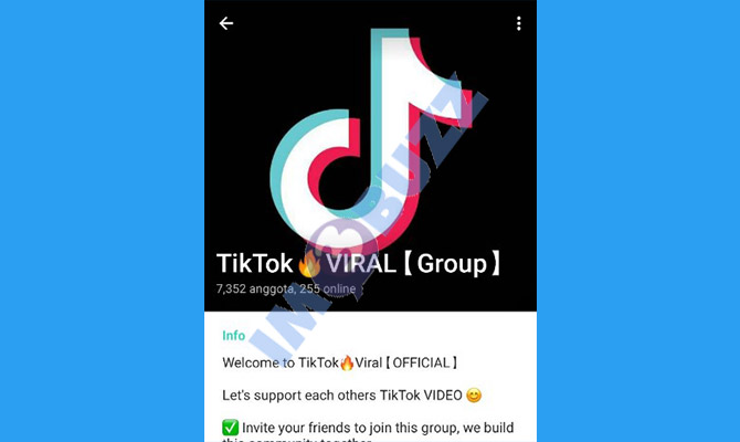 3. viral tiktok group