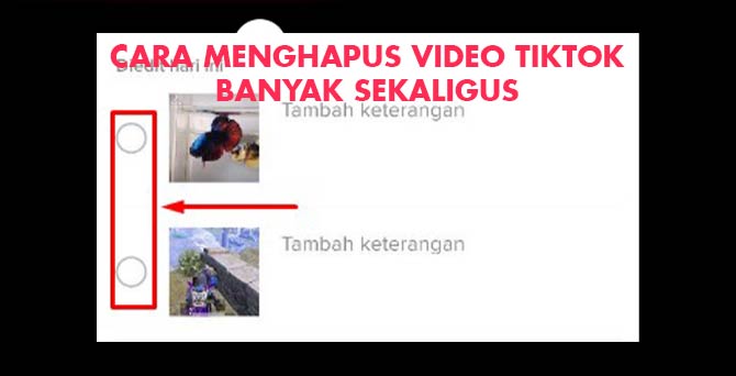 4. Cara Hapus Video Di TikTok Banyak Sekaligus