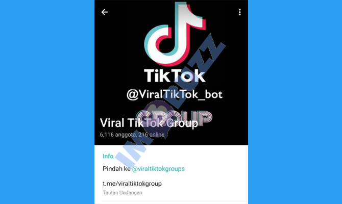 4. grup tiktok viral