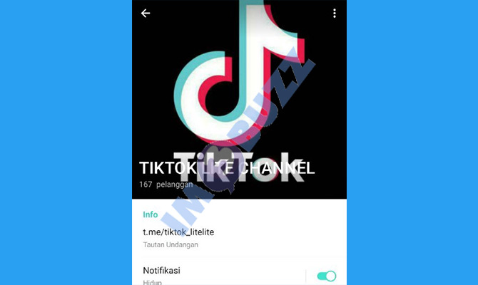 4. tiktok lite channel