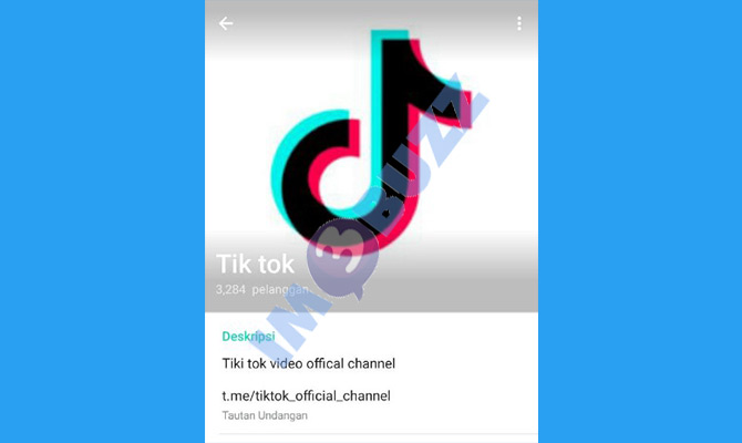 5. channel tiktok