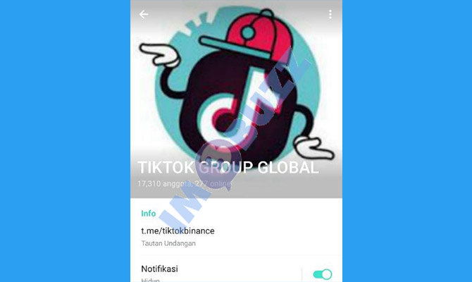 6. tiktok group global