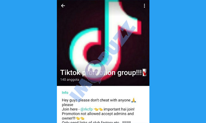 8. tiktok promotion group