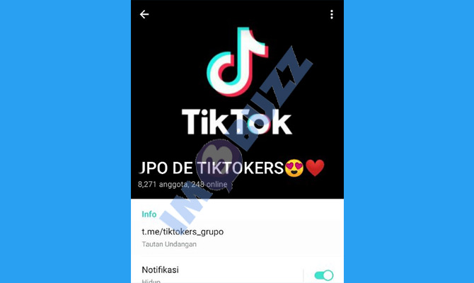 9. grupo de tiktokers