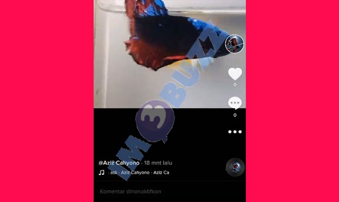 Buka Video TikTok