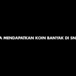 Cara Mendapatkan Koin Banyak Di Snack Video