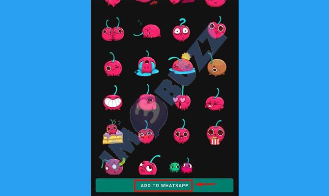 10. Tap Add To Whatsapp