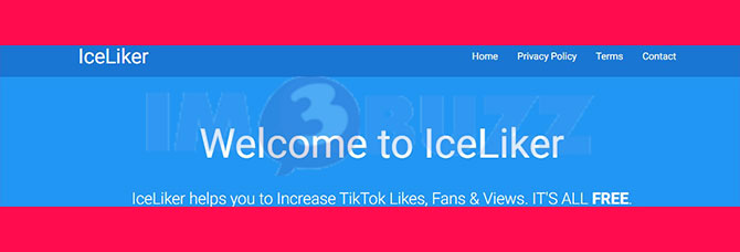 2. Ice Liker Auto Like Dan Followers TikTok