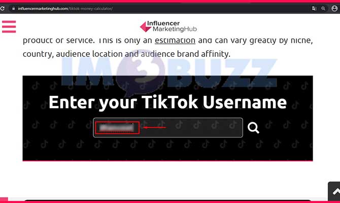 3. Masukkan Username Akun TikTok