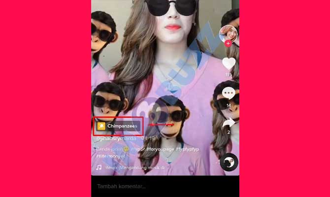 4. Ketuk Nama Filter Monyet