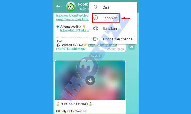 4. Pilih Laporkan Channel Telegram