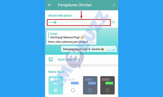 5. Atur Ukuran Font Telegram