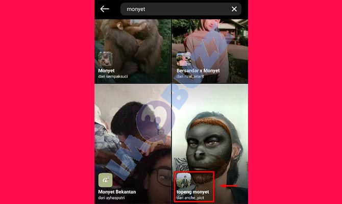 5. Pilih Filter IG Monyet