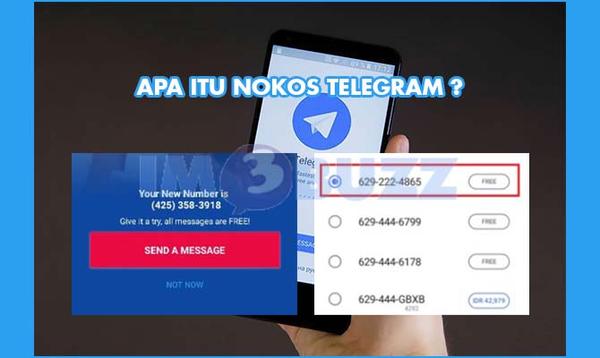 Apa Itu Nokos Telegram