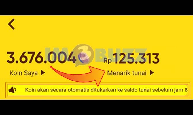 Cara Mengubah Koin Snack Video Menjadi Uang Rupiah