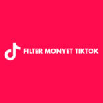Filter Monyet TikTok