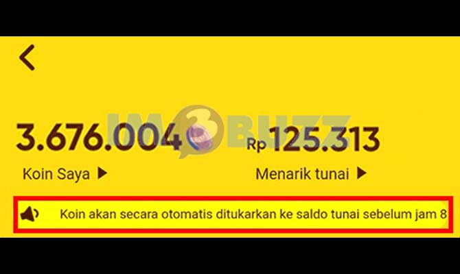 Jam Berapa Koin Snack Video Menjadi Rupiah