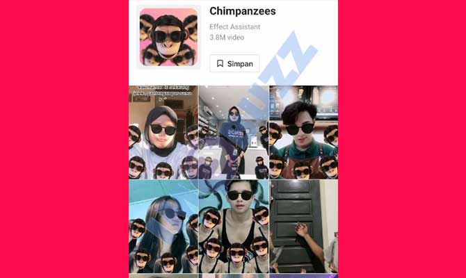 Nama Filter Monyet Di TikTok