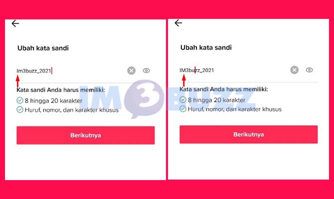 1. Contoh Kata Sandi TikTok Huruf kapital di Awal, Angka dan Simbol