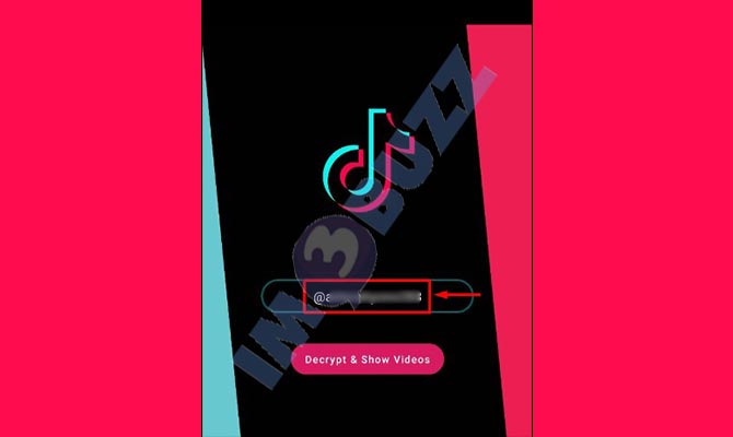 3. Masukkan Username TikTok