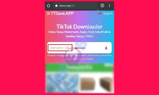 3. Tempel Username Profil TikTok