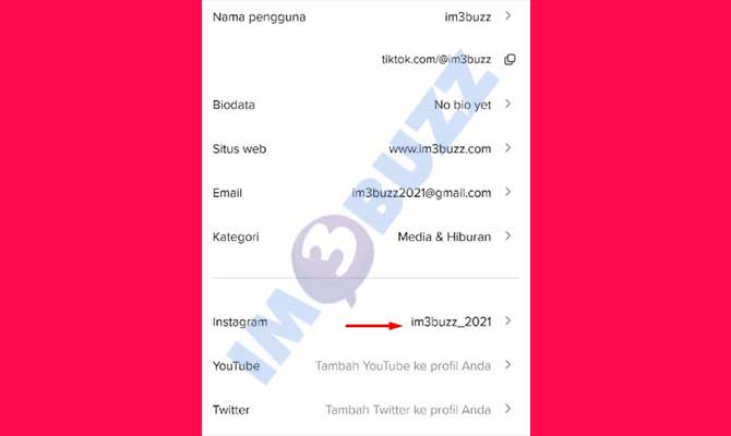 5. Selesai Menambahkan Link IG di Bio